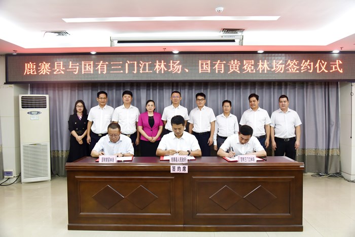 我场与鹿寨县、黄冕林场签订国家储备林建设等项目合作框架协议