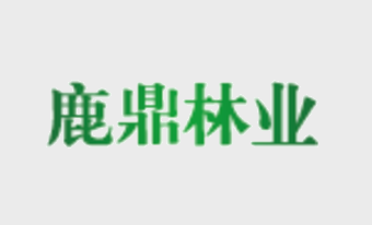 自治区林业局速丰站到我场调研