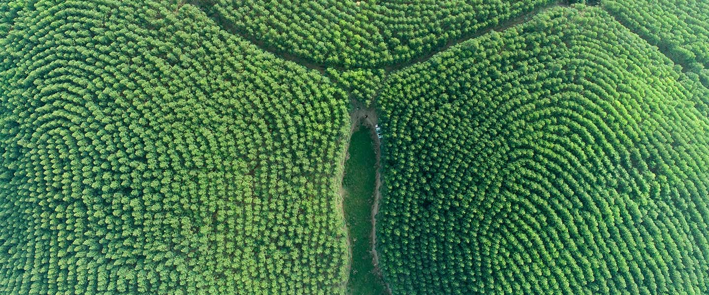 东升国际官网-相信品牌力量