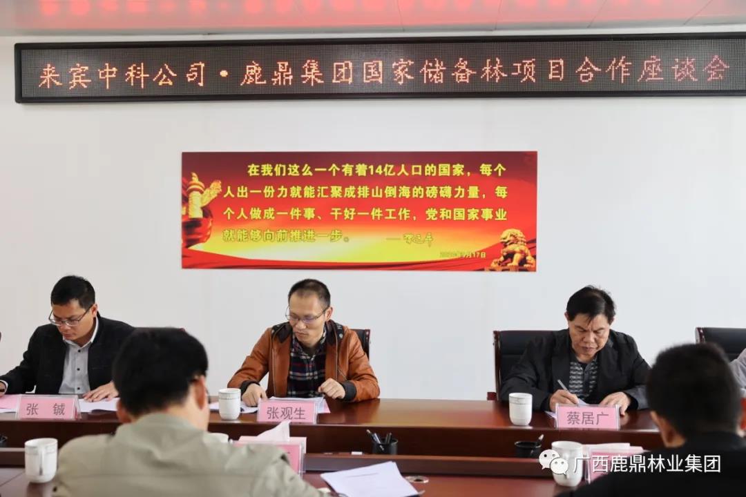 东升国际官网集团与来宾中科公司召开国家储备林项目合作座谈会