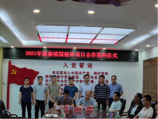 东升国际官网林业集团与鹿寨镇国储林项目合作 首单成功签约