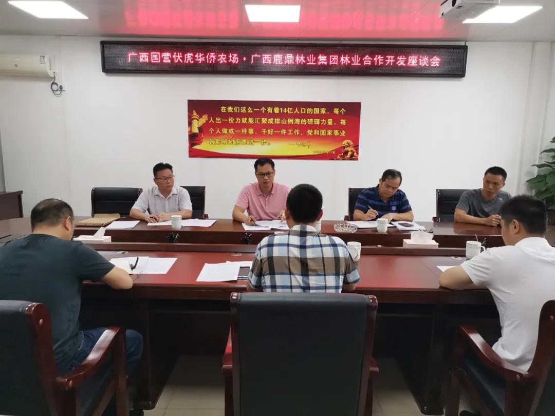 柳城伏虎华侨农场到集团开展农林合作座谈会