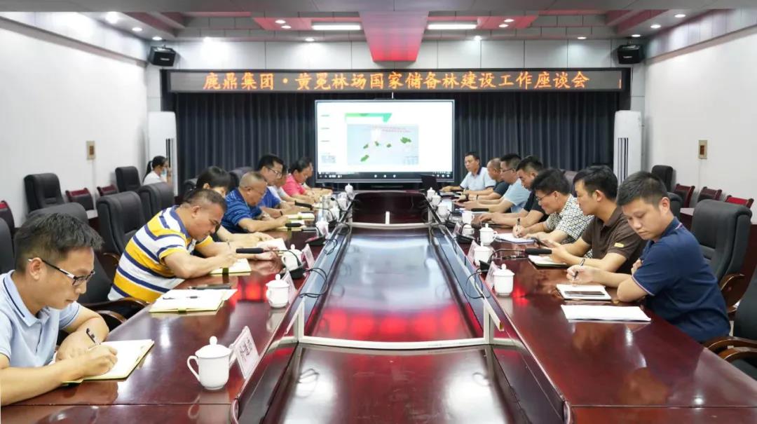 东升国际官网林业集团与黄冕林场座谈交流国储林建设工作
