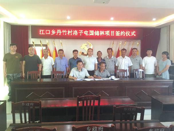 鹿丰公司与鹿寨县江口乡丹竹村洛子屯集体签订《林地承包合同》