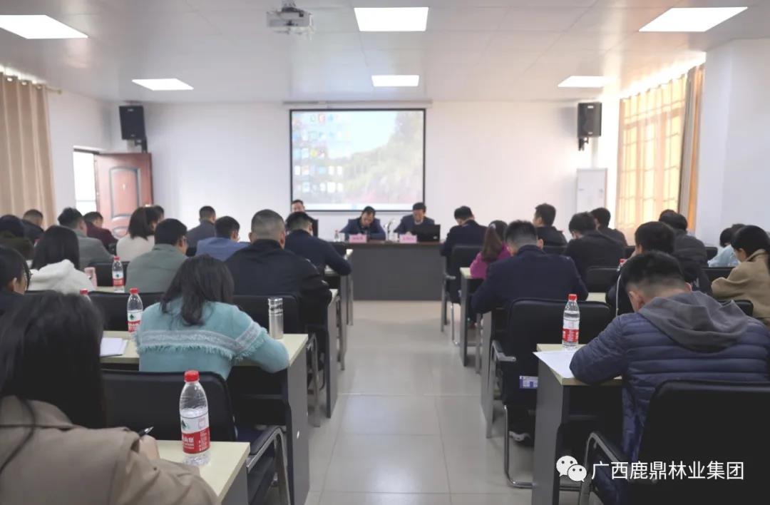 东升国际官网集团召开营林生产调查知识培训会