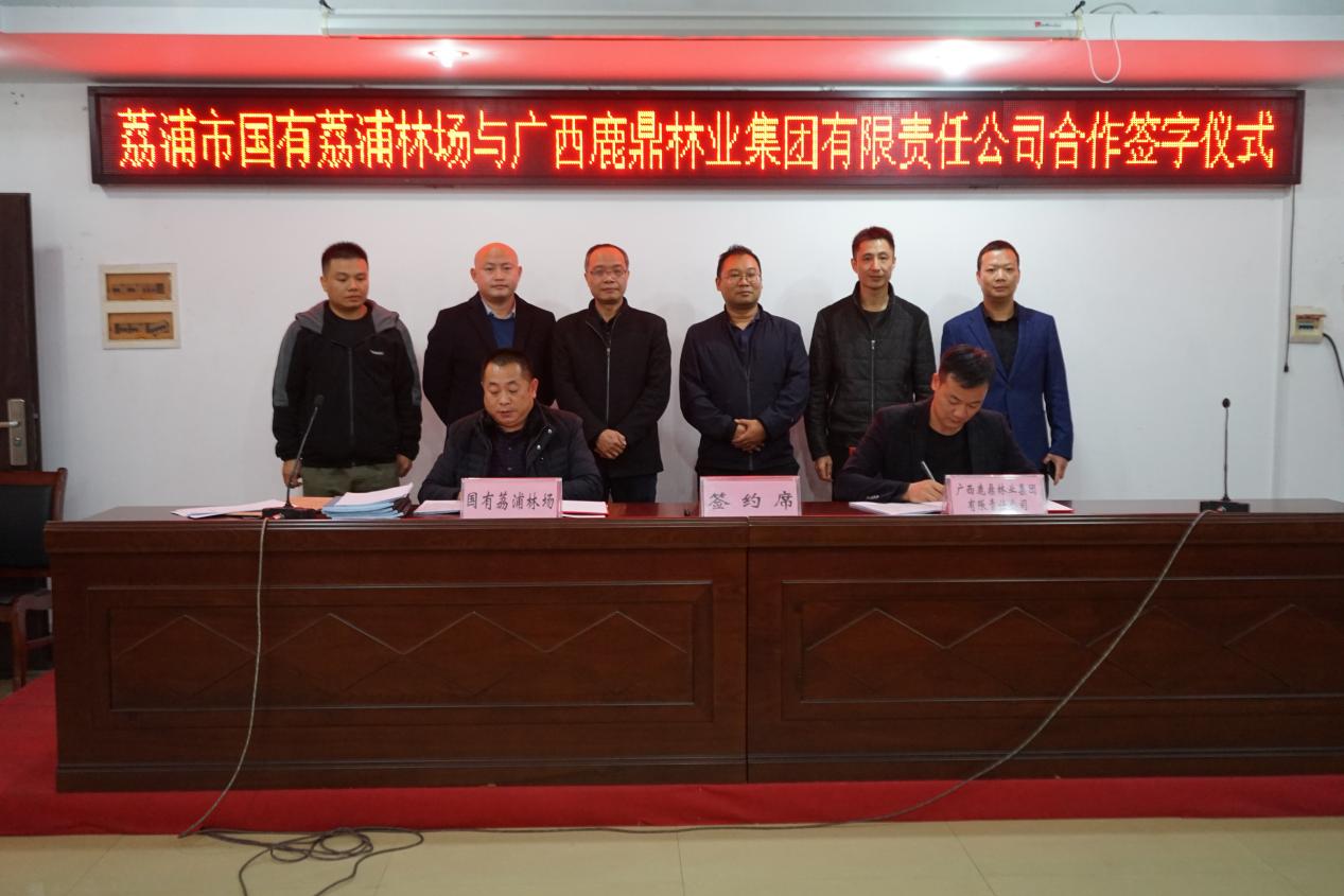 东升国际官网集团与国有荔浦林场签定商品林地合作协议，本次合同签订面积22000亩。