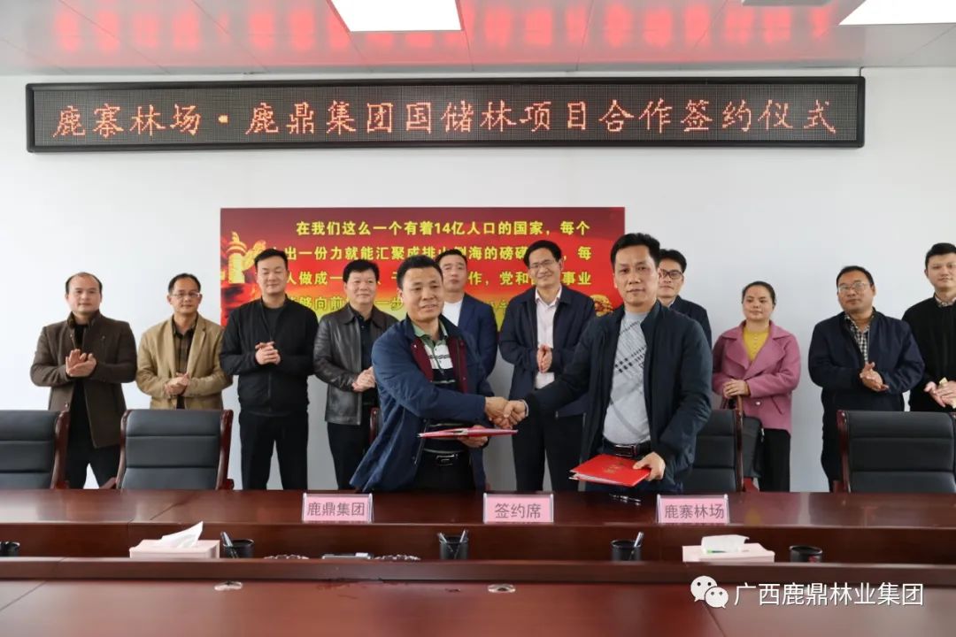 东升国际官网集团与鹿寨县林场举行国储林项目合作签约仪式2.jpg