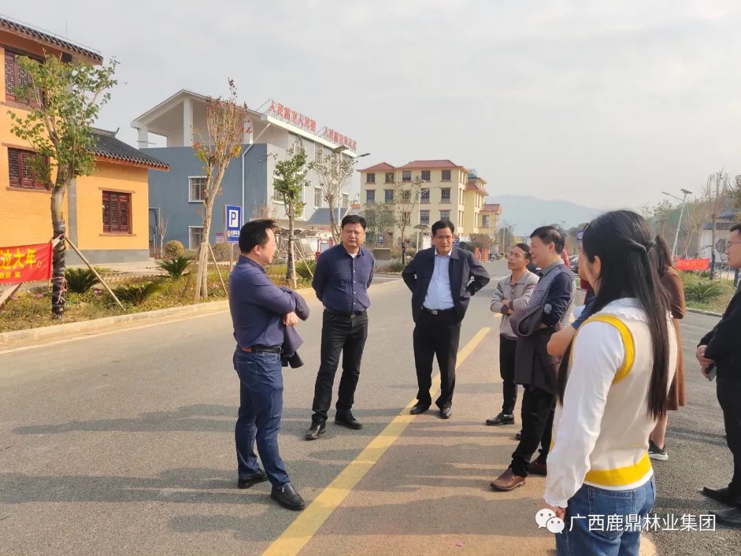 自治区林业局调研组到鹿寨县调研指导国储林建设现场推进会筹备工作.jpg