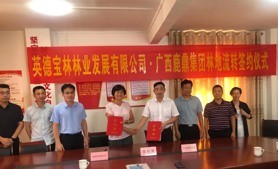 东升国际官网集团与宝林公司签订9100亩林地林木流转协议1.jpg