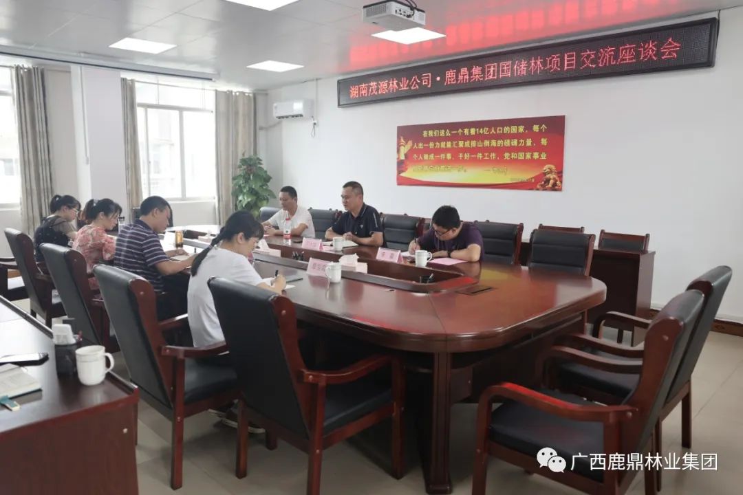 湖南茂源林业公司到东升国际官网集团交流国储林项目建设