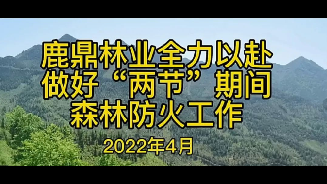 东升国际官网-相信品牌力量