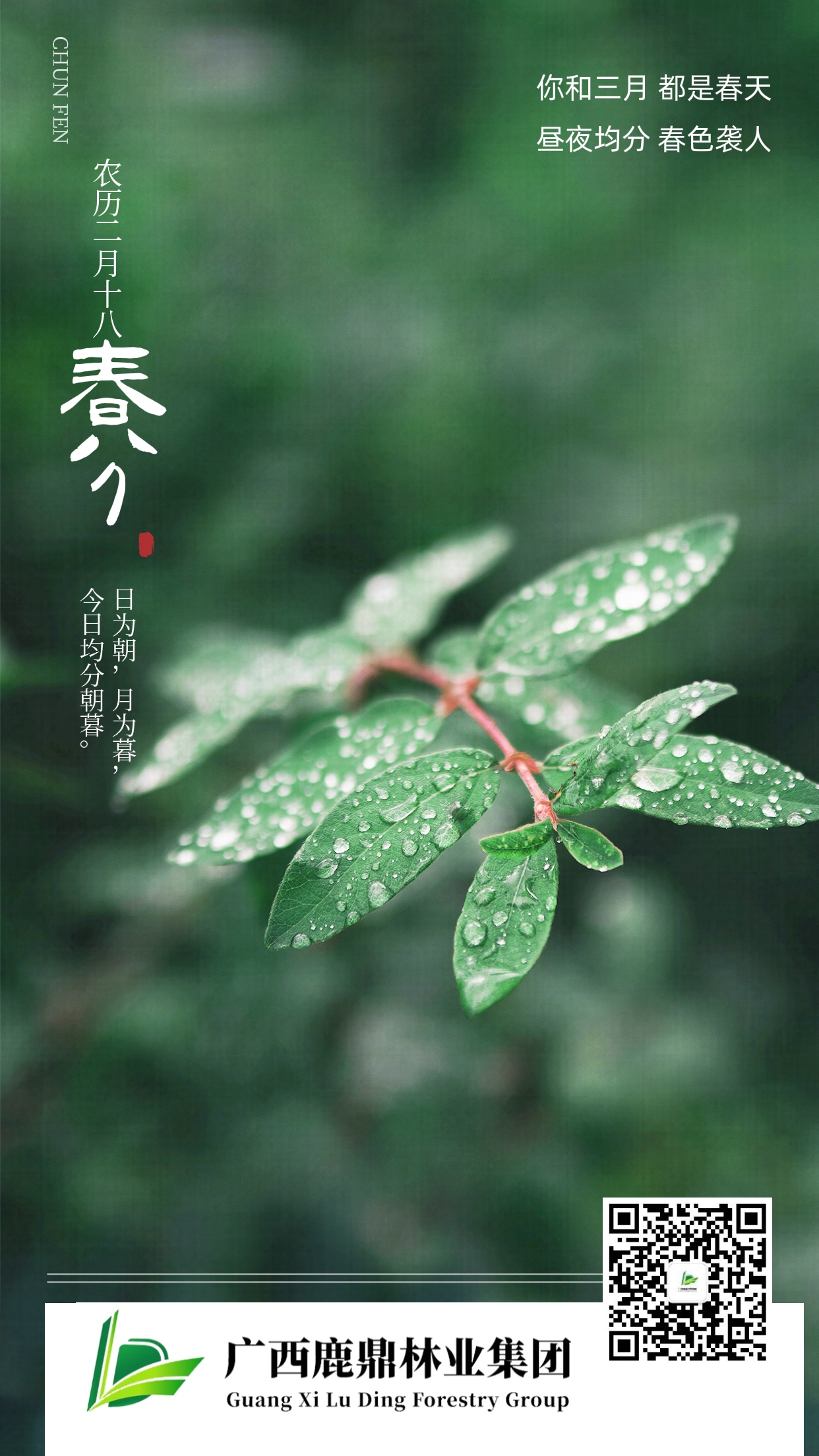 0320春分海报.jpg