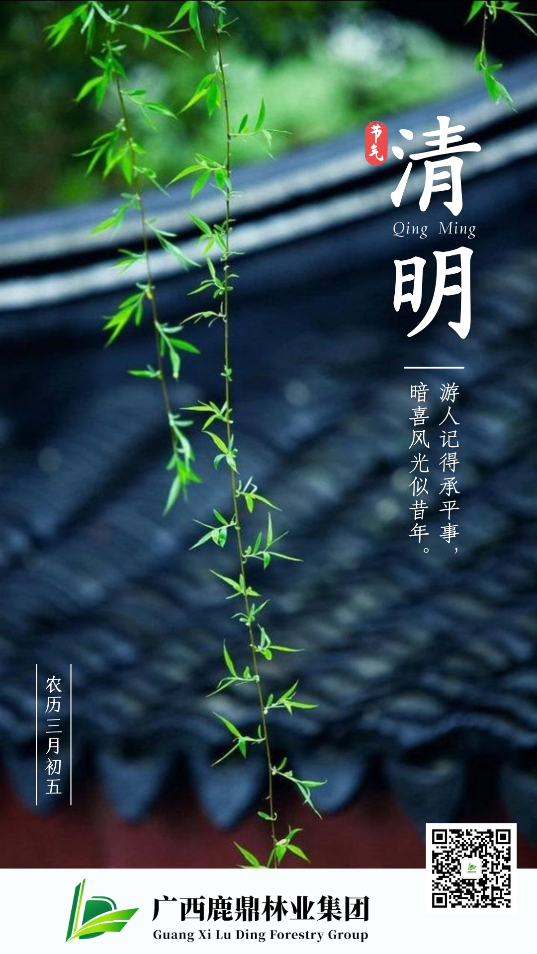 0405清明.png