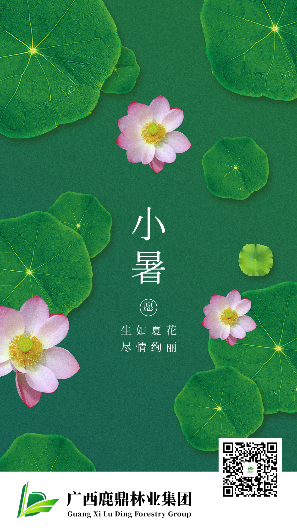 0707小暑.png