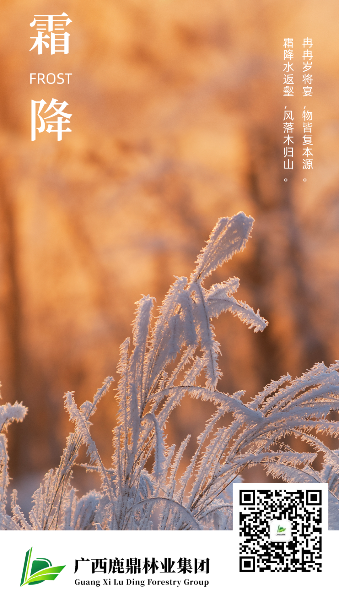 微信图片_20221024091507.png