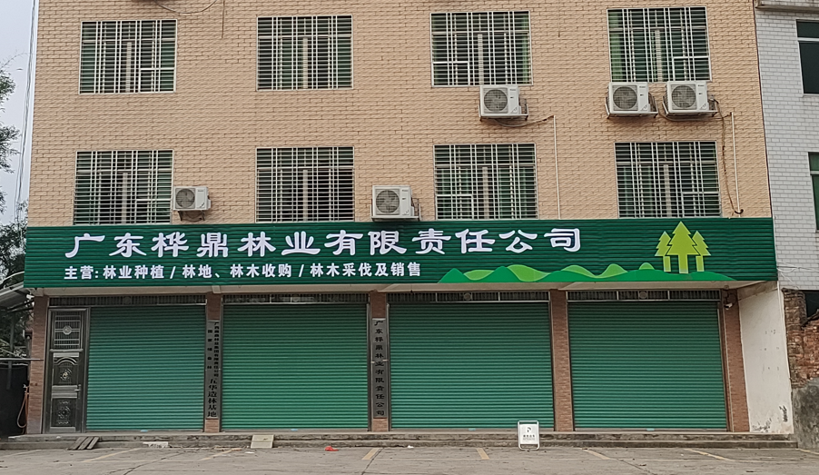 东升国际官网-相信品牌力量