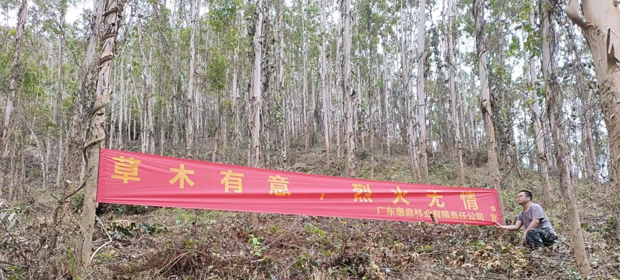 20230629085603068 东升国际官网-相信品牌力量