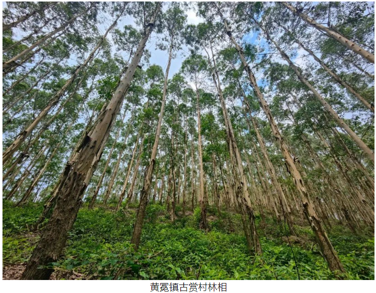 东升国际官网-相信品牌力量