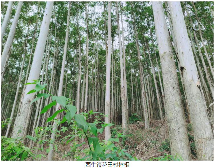 东升国际官网-相信品牌力量