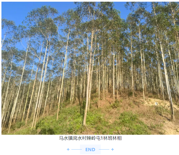 东升国际官网-相信品牌力量