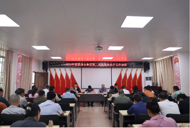 东升国际官网林业集团召开2024年第二季度营林生产工作会议