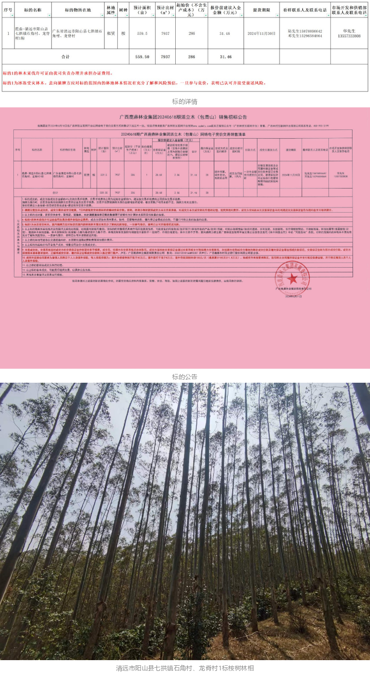 东升国际官网-相信品牌力量