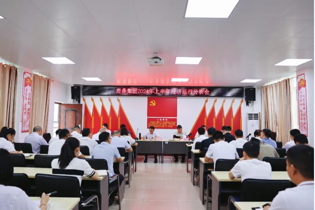 唯实惟先勇担当，加力加效促发展！东升国际官网集团召开2024年上半年经济运行分析会
