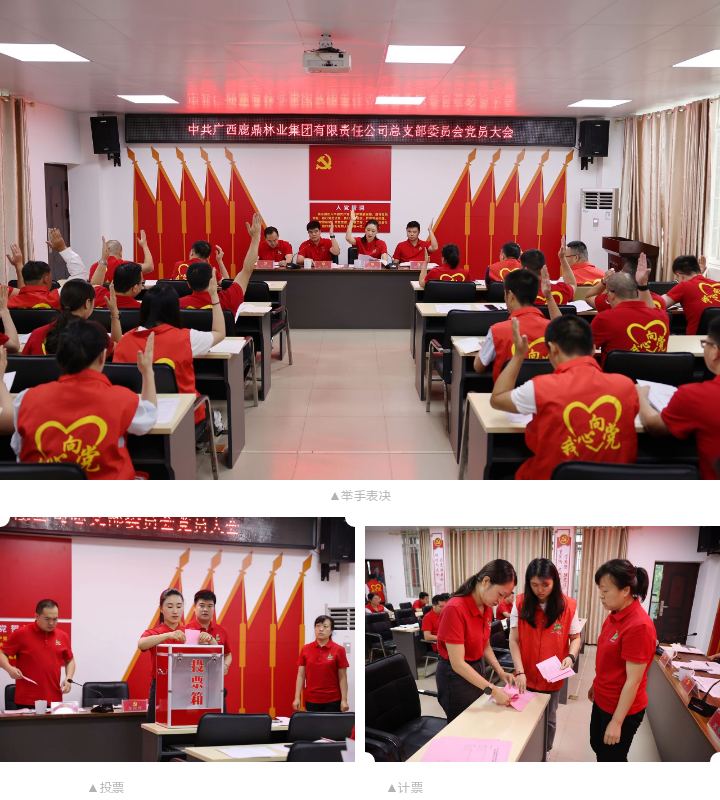 东升国际官网-相信品牌力量