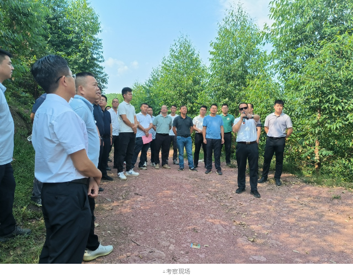 东升国际官网-相信品牌力量