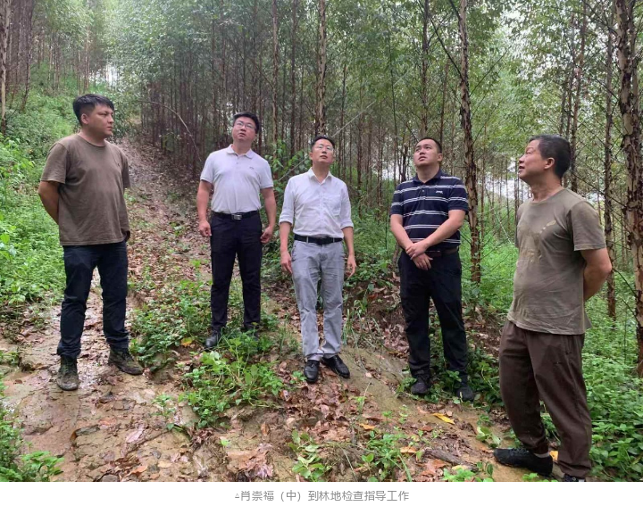 东升国际官网-相信品牌力量