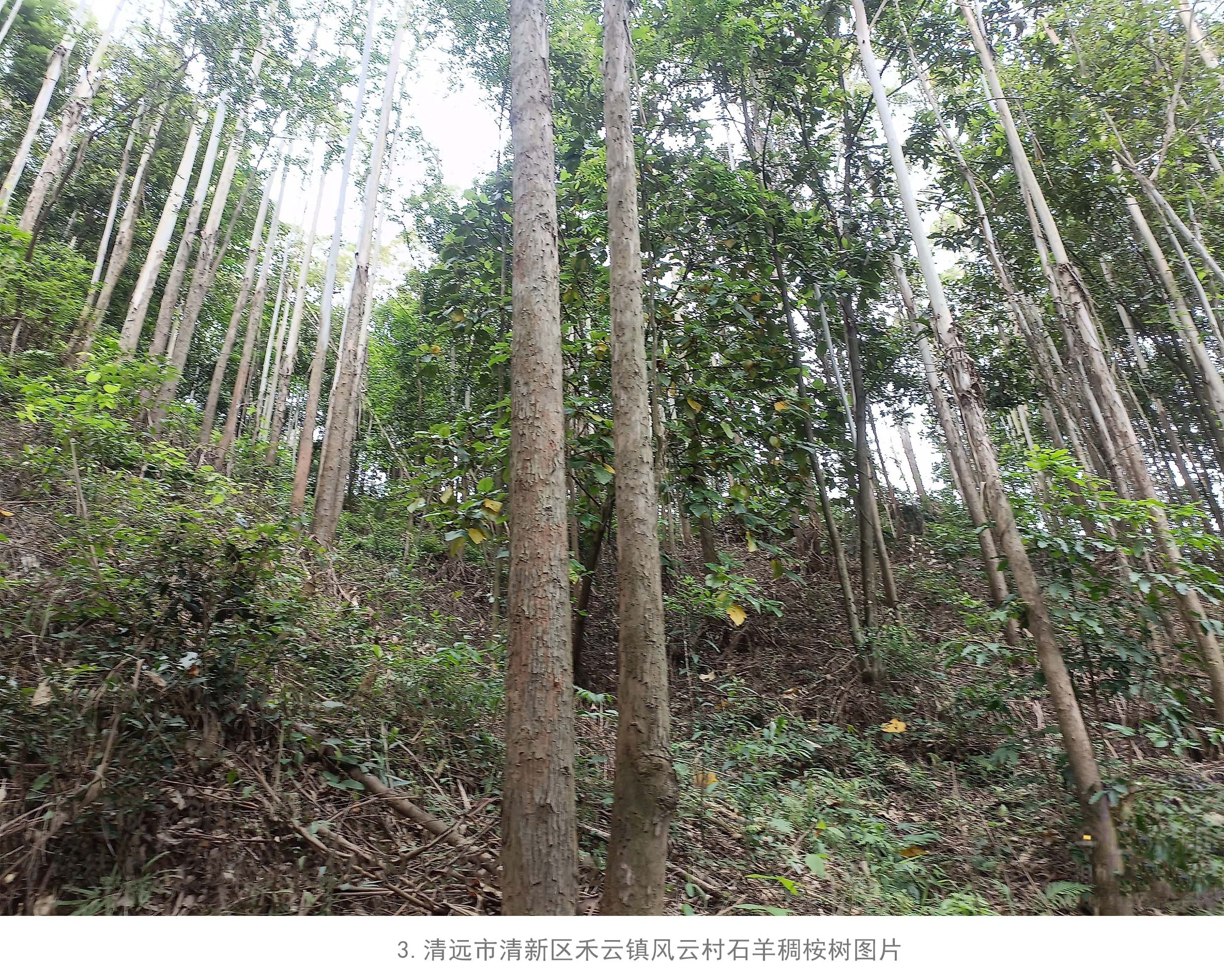 东升国际官网-相信品牌力量