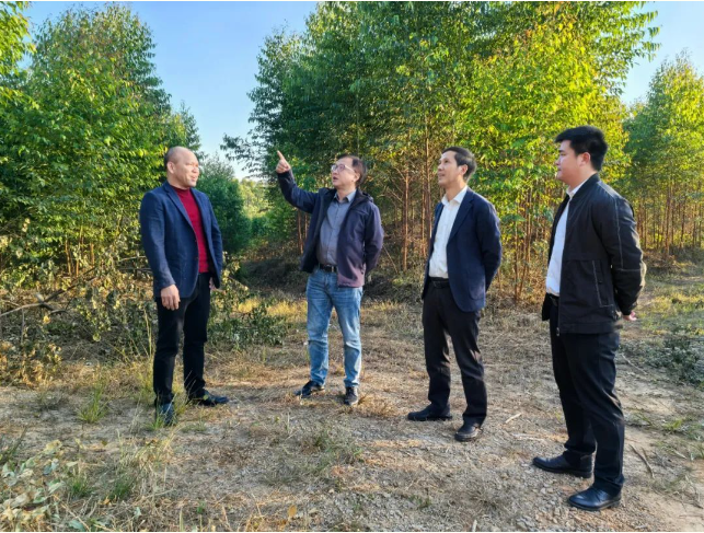 自治区林业局二级巡视员冷光明到广西东升国际官网林业集团梅州分公司指导调研