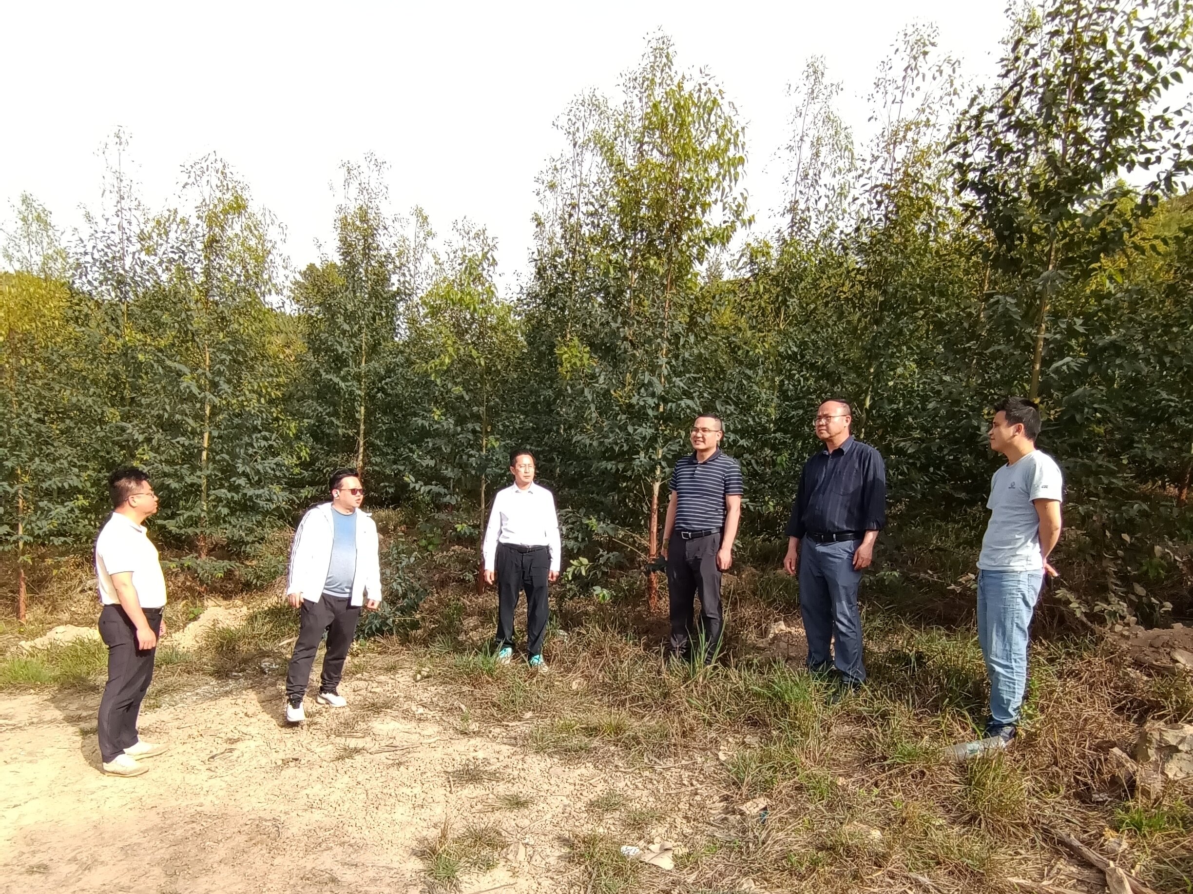 三门江林场副场长肖崇福、副场长尹华山一行到东升国际官网集团林地检查指导工作