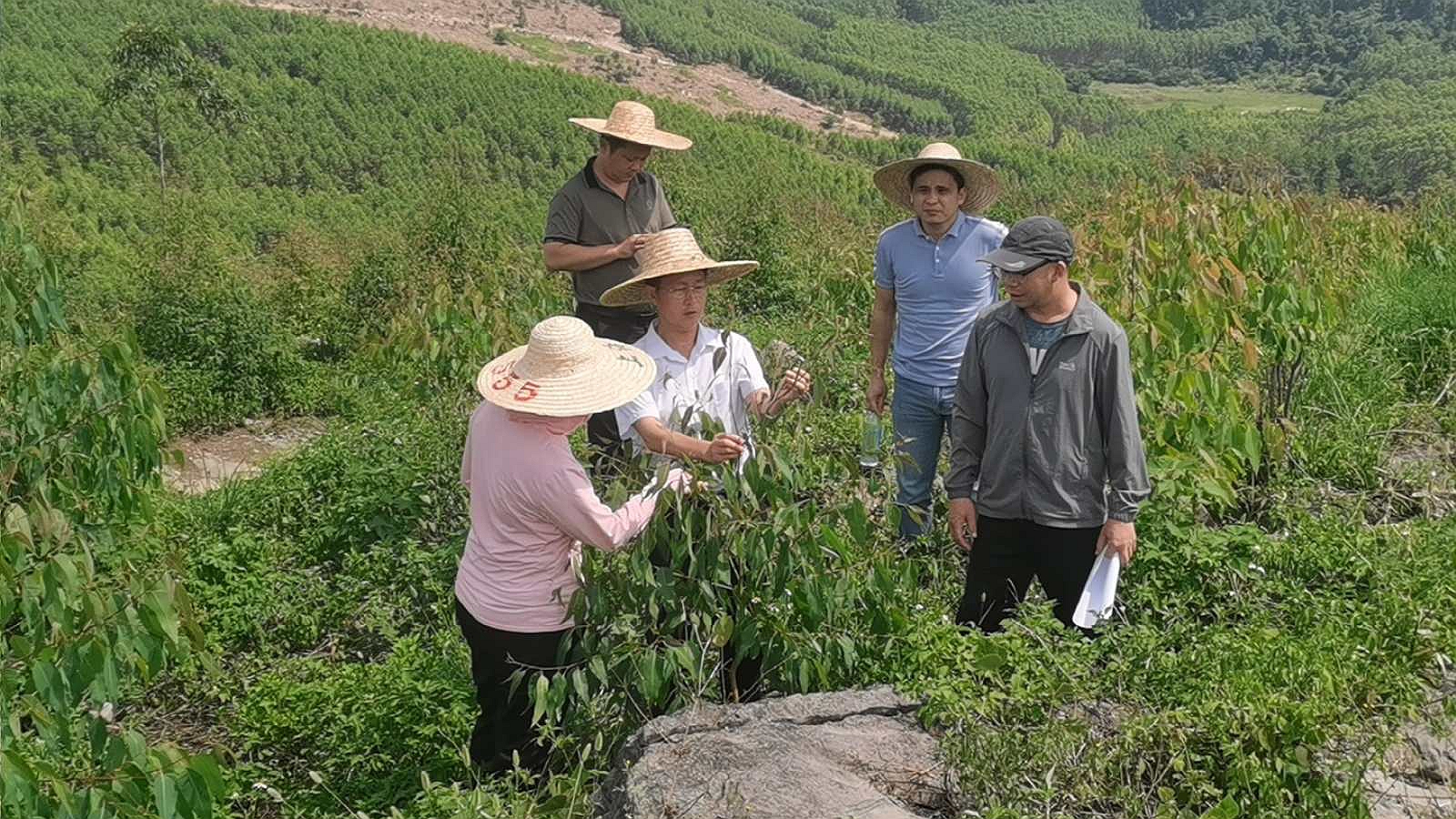 东升国际官网-相信品牌力量