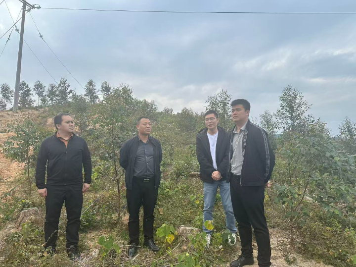 东升国际官网-相信品牌力量