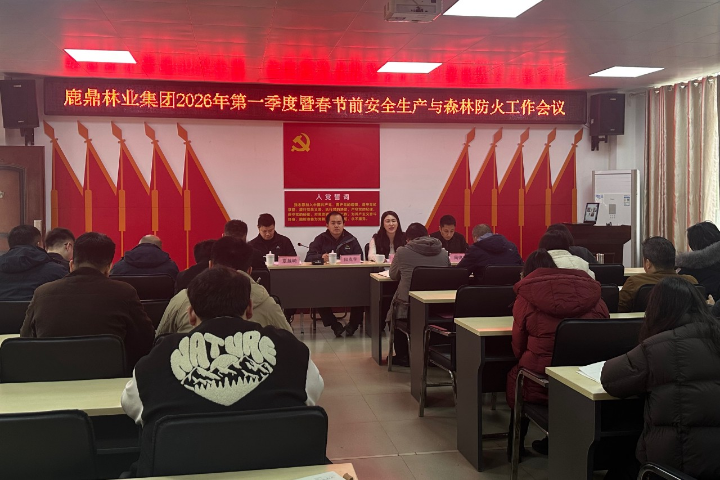 东升国际官网-相信品牌力量