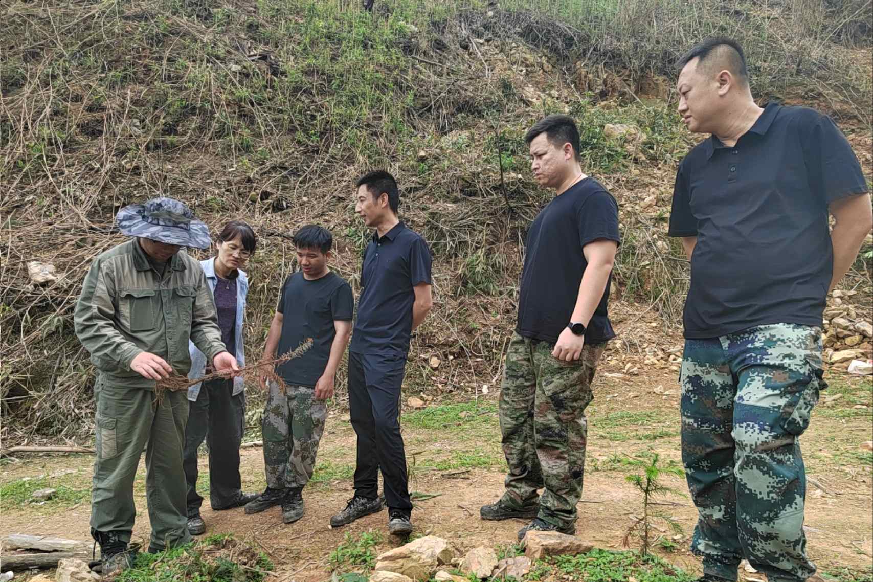 集团副总经理周律相到鹿晟公司新造林地检查指导工作